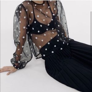 Zara Sheer Embroidered Organza Top